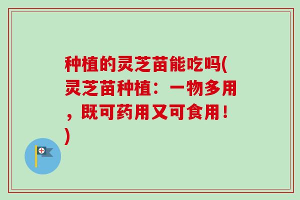 种植的灵芝苗能吃吗(灵芝苗种植:一物多用,既可药用又可食用!)-第1张图片-卓越灵芝孢子粉 种植的灵芝苗能吃吗(灵芝苗种植:一物多用,既可药用又可食用!)-第1张图片-卓越灵芝孢子粉