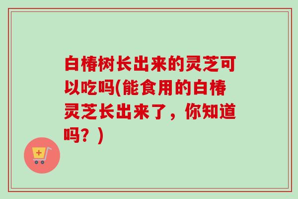 白椿树长出来的灵芝可以吃吗(能食用的白椿灵芝长出来了,你知道吗?)-第1张图片-卓越灵芝孢子粉 白椿树长出来的灵芝可以吃吗(能食用的白椿灵芝长出来了,你知道吗?)-第1张图片-卓越灵芝孢子粉