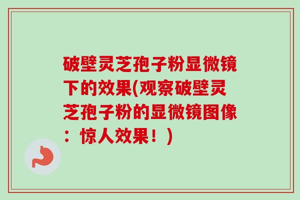 破壁灵芝孢子粉显微镜下的效果(观察破壁灵芝孢子粉的显微镜图像:惊人效果!)-第1张图片-卓越灵芝孢子粉 破壁灵芝孢子粉显微镜下的效果(观察破壁灵芝孢子粉的显微镜图像:惊人效果!)-第1张图片-卓越灵芝孢子粉