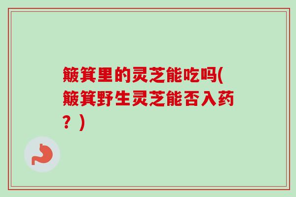 簸箕里的灵芝能吃吗(簸箕野生灵芝能否入药?)-第1张图片-卓越灵芝孢子粉 簸箕里的灵芝能吃吗(簸箕野生灵芝能否入药?)-第1张图片-卓越灵芝孢子粉