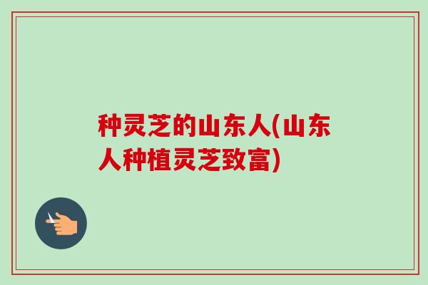 种灵芝的山东人(山东人种植灵芝致富)-第1张图片-卓越灵芝孢子粉