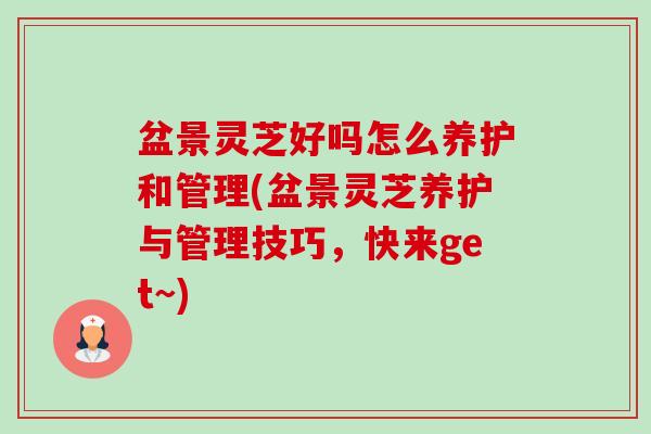 盆景灵芝好吗怎么养护和管理(盆景灵芝养护与管理技巧,快来get~)-第1张图片-卓越灵芝孢子粉 盆景灵芝好吗怎么养护和管理(盆景灵芝养护与管理技巧,快来get~)-第1张图片-卓越灵芝孢子粉
