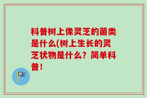 科普树上像灵芝的菌类是什么(树上生长的灵芝状物是什么?简单科普!-第1张图片-卓越灵芝孢子粉 科普树上像灵芝的菌类是什么(树上生长的灵芝状物是什么?简单科普!-第1张图片-卓越灵芝孢子粉