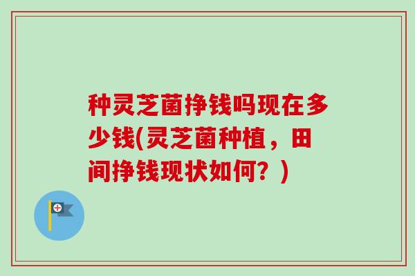 种灵芝菌挣钱吗现在多少钱(灵芝菌种植，田间挣钱现状如何？)-第1张图片-卓越灵芝孢子粉