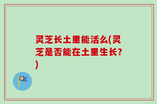 灵芝长土里能活么(灵芝是否能在土里生长?)-第1张图片-卓越灵芝孢子粉 灵芝长土里能活么(灵芝是否能在土里生长?)-第1张图片-卓越灵芝孢子粉