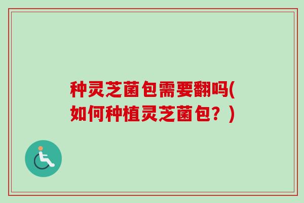 种灵芝菌包需要翻吗(如何种植灵芝菌包?)-第1张图片-卓越灵芝孢子粉 种灵芝菌包需要翻吗(如何种植灵芝菌包?)-第1张图片-卓越灵芝孢子粉