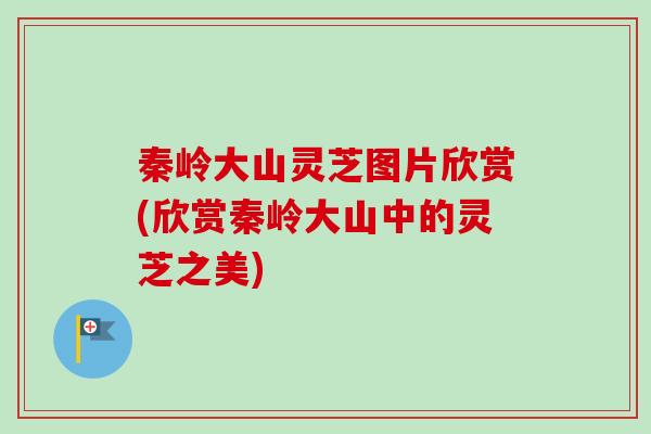 秦岭大山灵芝图片欣赏(欣赏秦岭大山中的灵芝之美)-第1张图片-卓越灵芝孢子粉