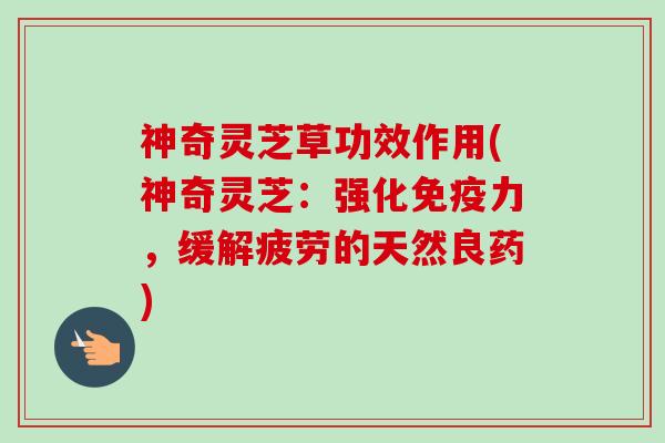 神奇灵芝草功效作用(神奇灵芝：强化免疫力，缓解疲劳的天然良药)-第1张图片-卓越灵芝孢子粉