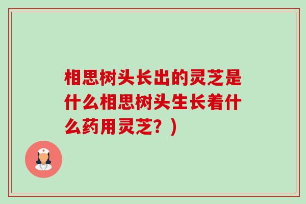 相思树头长出的灵芝是什么相思树头生长着什么药用灵芝?)-第1张图片-卓越灵芝孢子粉 相思树头长出的灵芝是什么相思树头生长着什么药用灵芝?)-第1张图片-卓越灵芝孢子粉