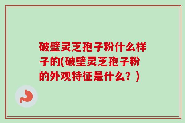 破壁灵芝孢子粉什么样子的(破壁灵芝孢子粉的外观特征是什么?)-第1张图片-卓越灵芝孢子粉 破壁灵芝孢子粉什么样子的(破壁灵芝孢子粉的外观特征是什么?)-第1张图片-卓越灵芝孢子粉