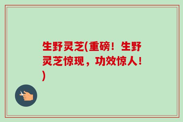 生野灵芝(重磅！生野灵芝惊现，功效惊人！)-第1张图片-卓越灵芝孢子粉