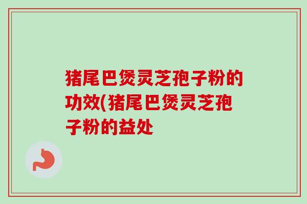 猪尾巴煲灵芝孢子粉的功效(猪尾巴煲灵芝孢子粉的益处-第1张图片-卓越灵芝孢子粉 猪尾巴煲灵芝孢子粉的功效(猪尾巴煲灵芝孢子粉的益处-第1张图片-卓越灵芝孢子粉
