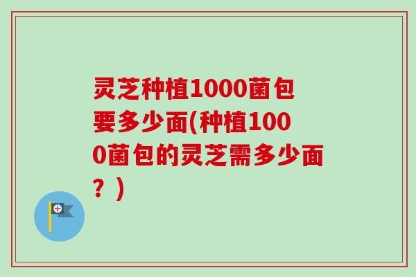 灵芝种植1000菌包要多少面(种植1000菌包的灵芝需多少面?)-第1张图片-卓越灵芝孢子粉 灵芝种植1000菌包要多少面(种植1000菌包的灵芝需多少面?)-第1张图片-卓越灵芝孢子粉