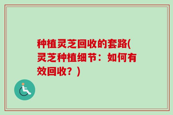 种植灵芝回收的套路(灵芝种植细节：如何有效回收？)-第1张图片-卓越灵芝孢子粉
