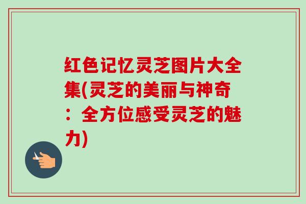 红色记忆灵芝图片大全集(灵芝的美丽与神奇:全方位感受灵芝的魅力)-第1张图片-卓越灵芝孢子粉 红色记忆灵芝图片大全集(灵芝的美丽与神奇:全方位感受灵芝的魅力)-第1张图片-卓越灵芝孢子粉