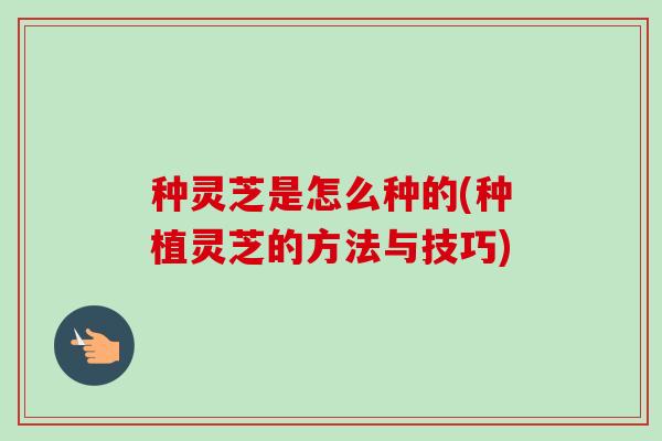 种灵芝是怎么种的(种植灵芝的方法与技巧)-第1张图片-卓越灵芝孢子粉 种灵芝是怎么种的(种植灵芝的方法与技巧)-第1张图片-卓越灵芝孢子粉