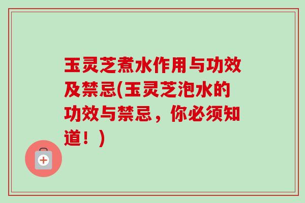 玉灵芝煮水作用与功效及禁忌(玉灵芝泡水的功效与禁忌，你必须知道！)-第1张图片-卓越灵芝孢子粉