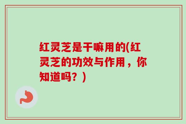 红灵芝是干嘛用的(红灵芝的功效与作用,你知道吗?)-第1张图片-卓越灵芝孢子粉 红灵芝是干嘛用的(红灵芝的功效与作用,你知道吗?)-第1张图片-卓越灵芝孢子粉
