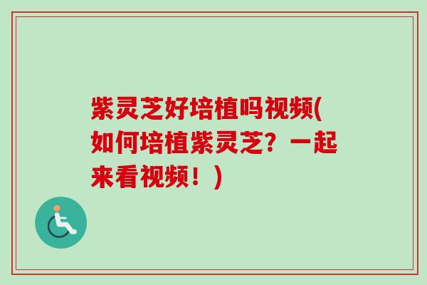 紫灵芝好培植吗视频(如何培植紫灵芝?一起来看视频!)-第1张图片-卓越灵芝孢子粉 紫灵芝好培植吗视频(如何培植紫灵芝?一起来看视频!)-第1张图片-卓越灵芝孢子粉