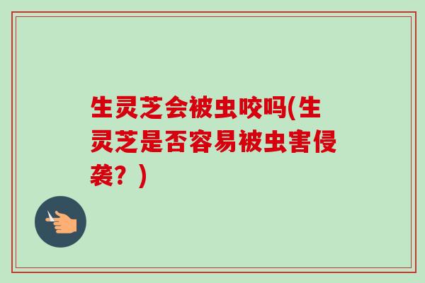 生灵芝会被虫咬吗(生灵芝是否容易被虫害侵袭?)-第1张图片-卓越灵芝孢子粉 生灵芝会被虫咬吗(生灵芝是否容易被虫害侵袭?)-第1张图片-卓越灵芝孢子粉