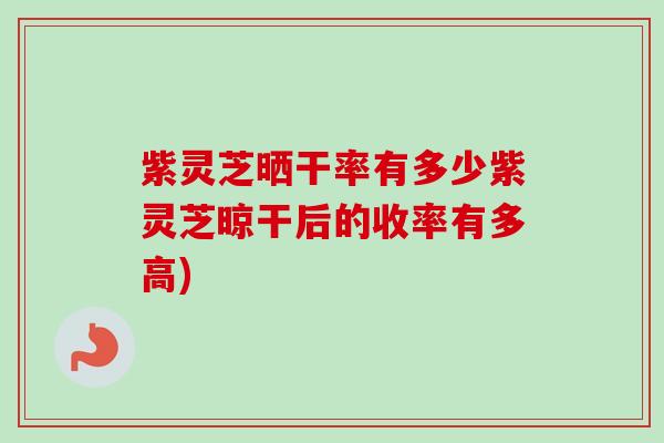 紫灵芝晒干率有多少紫灵芝晾干后的收率有多高)-第1张图片-卓越灵芝孢子粉 紫灵芝晒干率有多少紫灵芝晾干后的收率有多高)-第1张图片-卓越灵芝孢子粉
