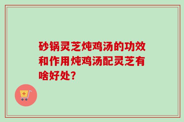 砂锅灵芝炖鸡汤的功效和作用炖鸡汤配灵芝有啥好处?-第1张图片-卓越灵芝孢子粉 砂锅灵芝炖鸡汤的功效和作用炖鸡汤配灵芝有啥好处?-第1张图片-卓越灵芝孢子粉