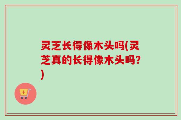 灵芝长得像木头吗(灵芝真的长得像木头吗？)-第1张图片-卓越灵芝孢子粉