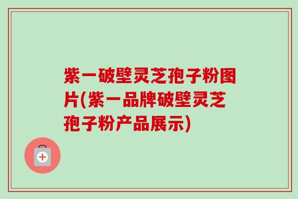 紫一破壁灵芝孢子粉图片(紫一品牌破壁灵芝孢子粉产品展示)-第1张图片-卓越灵芝孢子粉