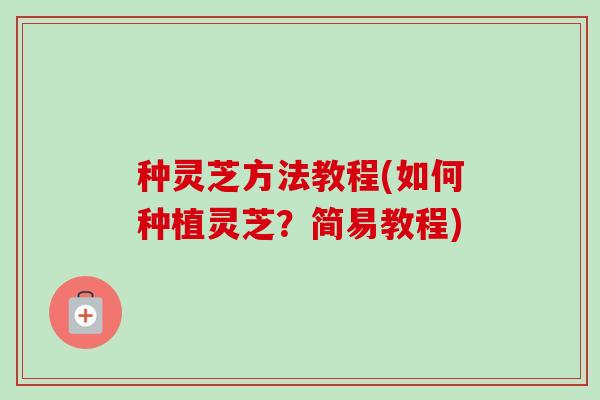 种灵芝方法教程(如何种植灵芝?简易教程)-第1张图片-卓越灵芝孢子粉 种灵芝方法教程(如何种植灵芝?简易教程)-第1张图片-卓越灵芝孢子粉