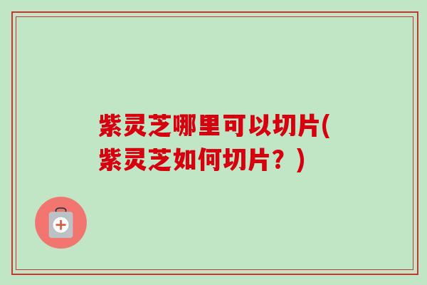 紫灵芝哪里可以切片(紫灵芝如何切片？)-第1张图片-卓越灵芝孢子粉