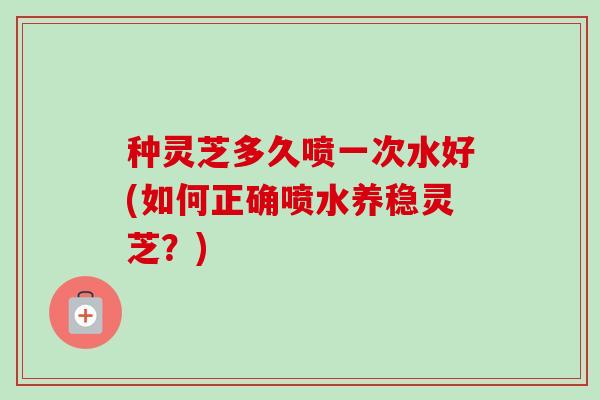 种灵芝多久喷一次水好(如何正确喷水养稳灵芝?)-第1张图片-卓越灵芝孢子粉 种灵芝多久喷一次水好(如何正确喷水养稳灵芝?)-第1张图片-卓越灵芝孢子粉