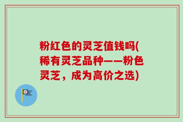粉红色的灵芝值钱吗(稀有灵芝品种——粉色灵芝，成为高价之选)-第1张图片-卓越灵芝孢子粉