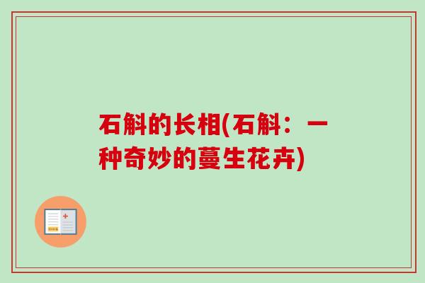 石斛的长相(石斛:一种奇妙的蔓生花卉)-第1张图片-卓越灵芝孢子粉 石斛的长相(石斛:一种奇妙的蔓生花卉)-第1张图片-卓越灵芝孢子粉