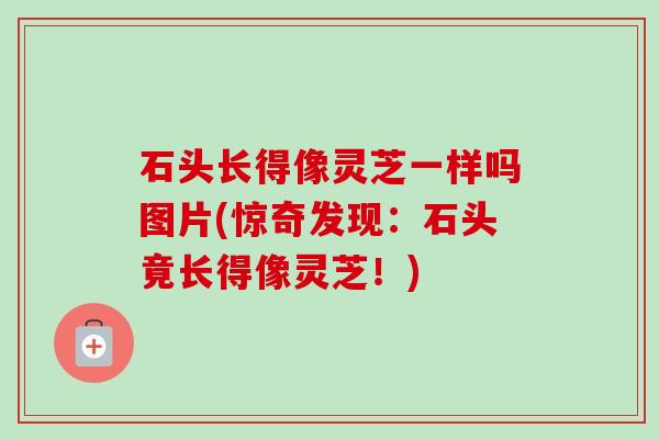 石头长得像灵芝一样吗图片(惊奇发现:石头竟长得像灵芝!)-第1张图片-卓越灵芝孢子粉 石头长得像灵芝一样吗图片(惊奇发现:石头竟长得像灵芝!)-第1张图片-卓越灵芝孢子粉