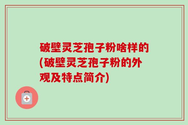 破壁灵芝孢子粉啥样的(破壁灵芝孢子粉的外观及特点简介)-第1张图片-卓越灵芝孢子粉