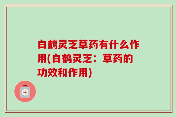 白鹤灵芝草药有什么作用(白鹤灵芝：草药的功效和作用)-第1张图片-卓越灵芝孢子粉