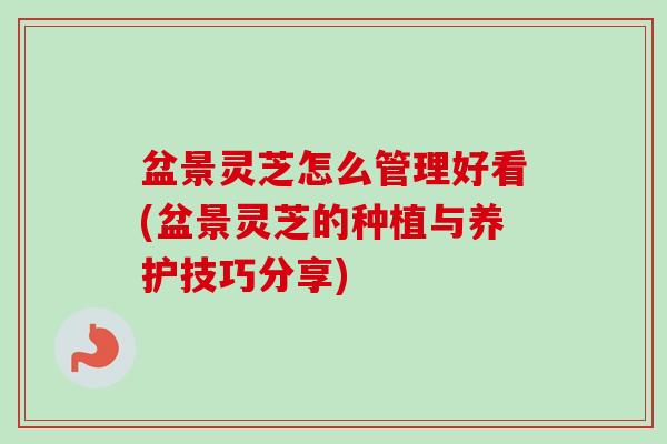 盆景灵芝怎么管理好看(盆景灵芝的种植与养护技巧分享)-第1张图片-卓越灵芝孢子粉 盆景灵芝怎么管理好看(盆景灵芝的种植与养护技巧分享)-第1张图片-卓越灵芝孢子粉