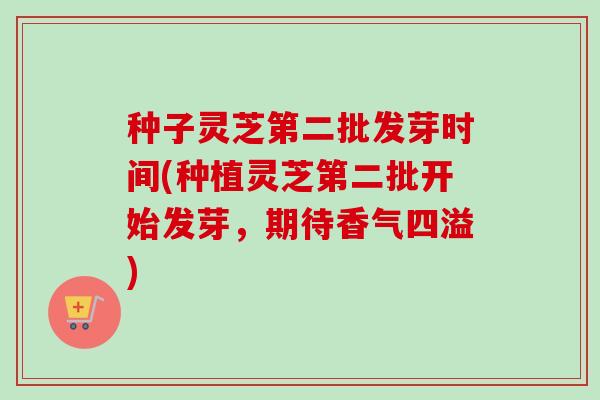 种子灵芝第二批发芽时间(种植灵芝第二批开始发芽，期待香气四溢)-第1张图片-卓越灵芝孢子粉
