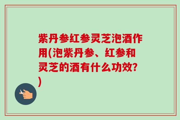 紫丹参红参灵芝泡酒作用(泡紫丹参、红参和灵芝的酒有什么功效？)-第1张图片-卓越灵芝孢子粉