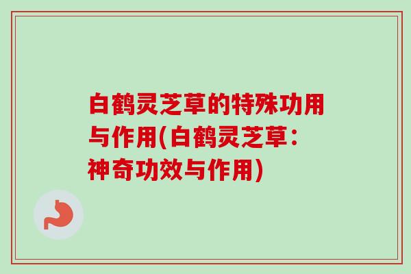 白鹤灵芝草的特殊功用与作用(白鹤灵芝草:神奇功效与作用)-第1张图片-卓越灵芝孢子粉 白鹤灵芝草的特殊功用与作用(白鹤灵芝草:神奇功效与作用)-第1张图片-卓越灵芝孢子粉