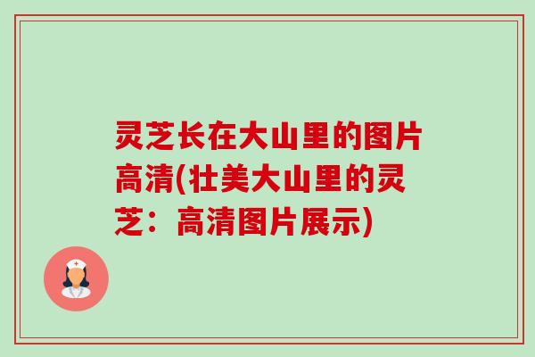 灵芝长在大山里的图片高清(壮美大山里的灵芝:高清图片展示)-第1张图片-卓越灵芝孢子粉 灵芝长在大山里的图片高清(壮美大山里的灵芝:高清图片展示)-第1张图片-卓越灵芝孢子粉