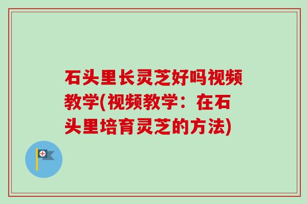 石头里长灵芝好吗视频教学(视频教学：在石头里培育灵芝的方法)-第1张图片-卓越灵芝孢子粉