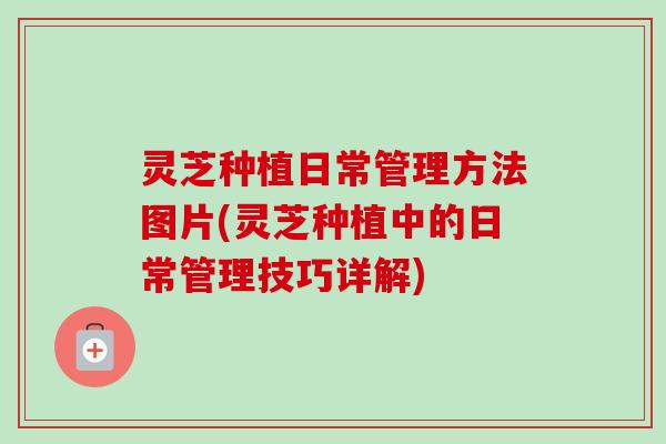 灵芝种植日常管理方法图片(灵芝种植中的日常管理技巧详解)-第1张图片-卓越灵芝孢子粉 灵芝种植日常管理方法图片(灵芝种植中的日常管理技巧详解)-第1张图片-卓越灵芝孢子粉