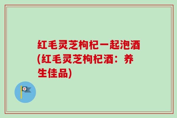 红毛灵芝枸杞一起泡酒(红毛灵芝枸杞酒：养生佳品)-第1张图片-卓越灵芝孢子粉