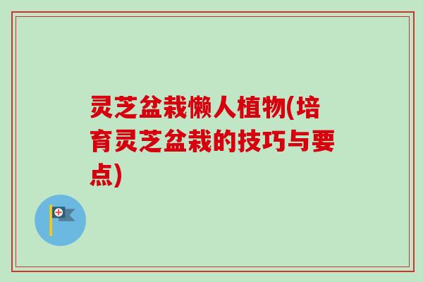 灵芝盆栽懒人植物(培育灵芝盆栽的技巧与要点)-第1张图片-卓越灵芝孢子粉 灵芝盆栽懒人植物(培育灵芝盆栽的技巧与要点)-第1张图片-卓越灵芝孢子粉