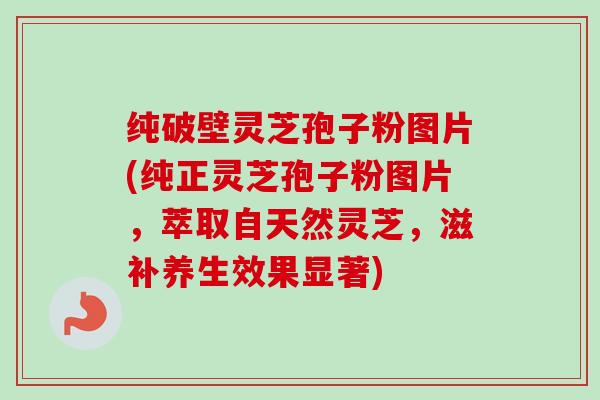 纯破壁灵芝孢子粉图片(纯正灵芝孢子粉图片，萃取自天然灵芝，滋补养生效果显著)-第1张图片-卓越灵芝孢子粉