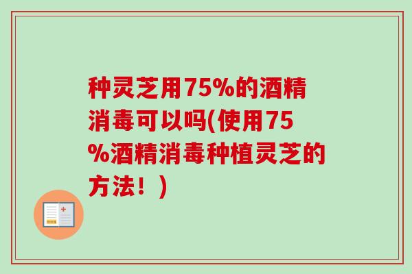 种灵芝用75%的酒精消毒可以吗(使用75%酒精消毒种植灵芝的方法!)-第1张图片-卓越灵芝孢子粉 种灵芝用75%的酒精消毒可以吗(使用75%酒精消毒种植灵芝的方法!)-第1张图片-卓越灵芝孢子粉
