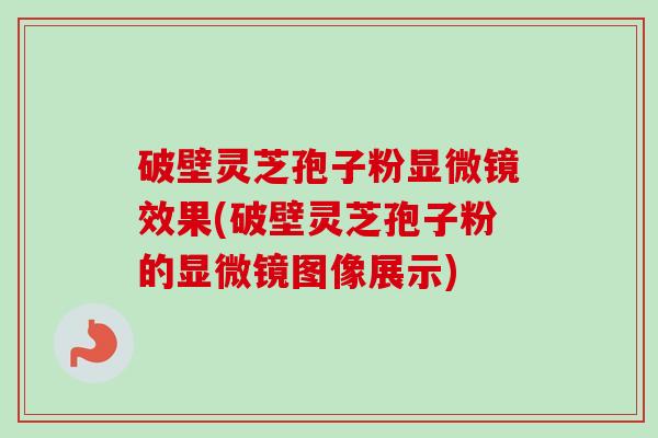 破壁灵芝孢子粉显微镜效果(破壁灵芝孢子粉的显微镜图像展示)-第1张图片-卓越灵芝孢子粉 破壁灵芝孢子粉显微镜效果(破壁灵芝孢子粉的显微镜图像展示)-第1张图片-卓越灵芝孢子粉