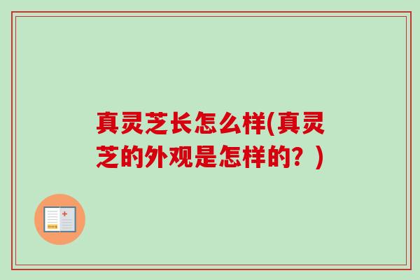 真灵芝长怎么样(真灵芝的外观是怎样的?)-第1张图片-卓越灵芝孢子粉 真灵芝长怎么样(真灵芝的外观是怎样的?)-第1张图片-卓越灵芝孢子粉