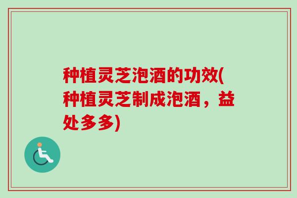 种植灵芝泡酒的功效(种植灵芝制成泡酒，益处多多)-第1张图片-卓越灵芝孢子粉